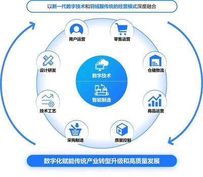 構(gòu)建高效、可持續(xù)的數(shù)字生態(tài)系統(tǒng) 標(biāo)桿項(xiàng)目實(shí)施辦法與數(shù)字技術(shù)服務(wù)路徑