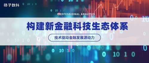 技術(shù)驅(qū)動(dòng)金融發(fā)展源動(dòng)力 桔子數(shù)科構(gòu)建新科技金融生態(tài)體系
