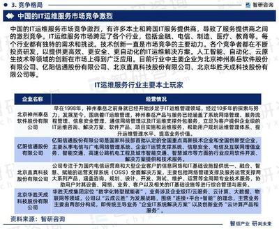 2023年中國IT運維服務(wù)行業(yè)現(xiàn)狀及未來發(fā)展趨勢研究報告